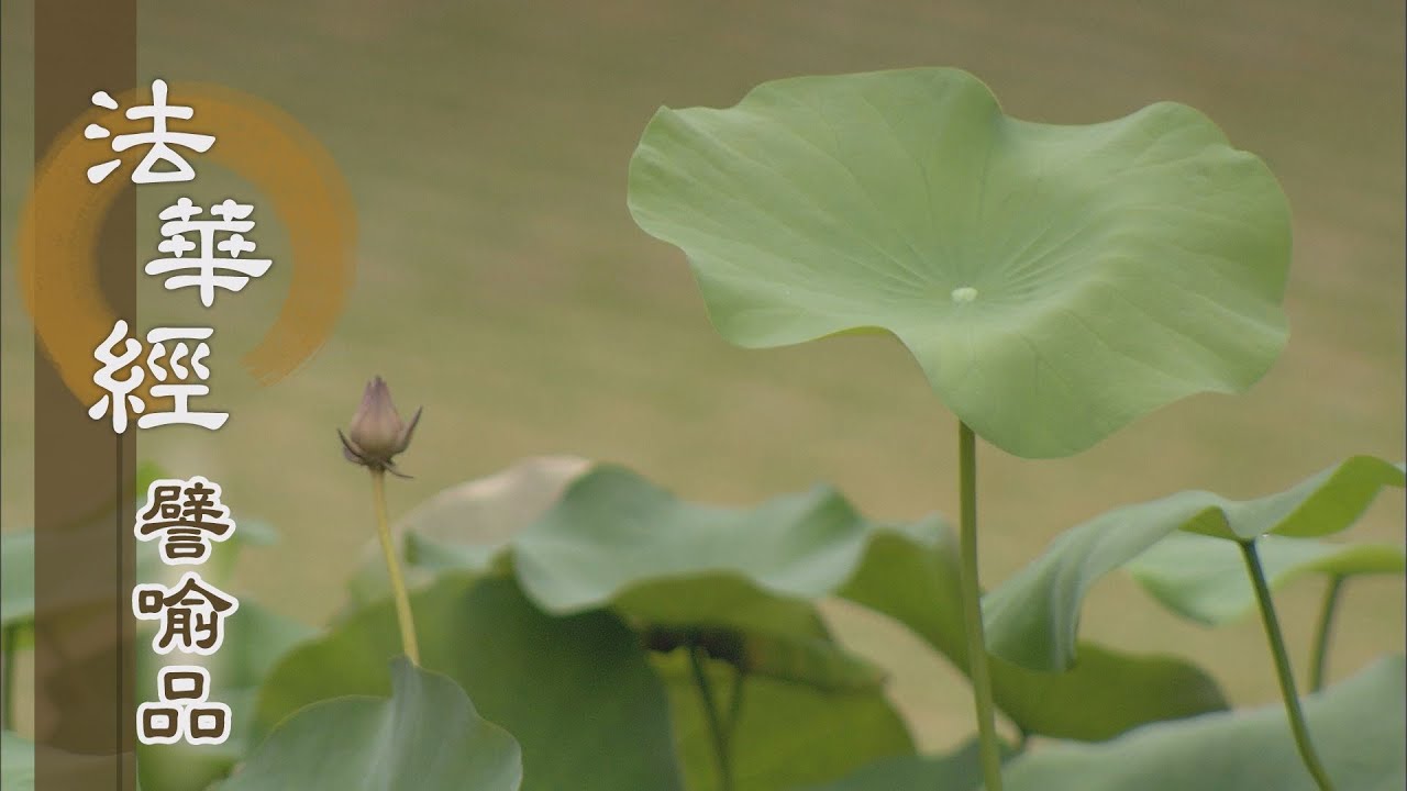 【靜思妙蓮華】法華經譬喻品 - 妄計執見離因果 - 20201026 第524集