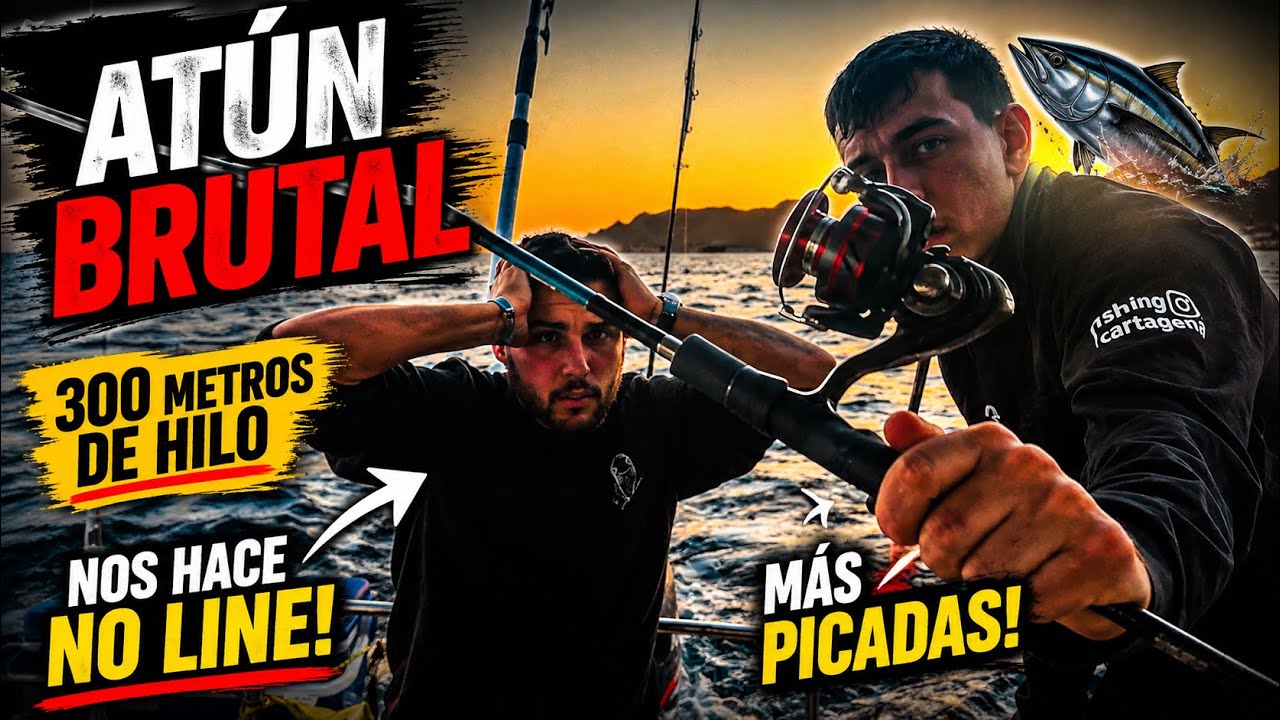 Nuestro primer No Line