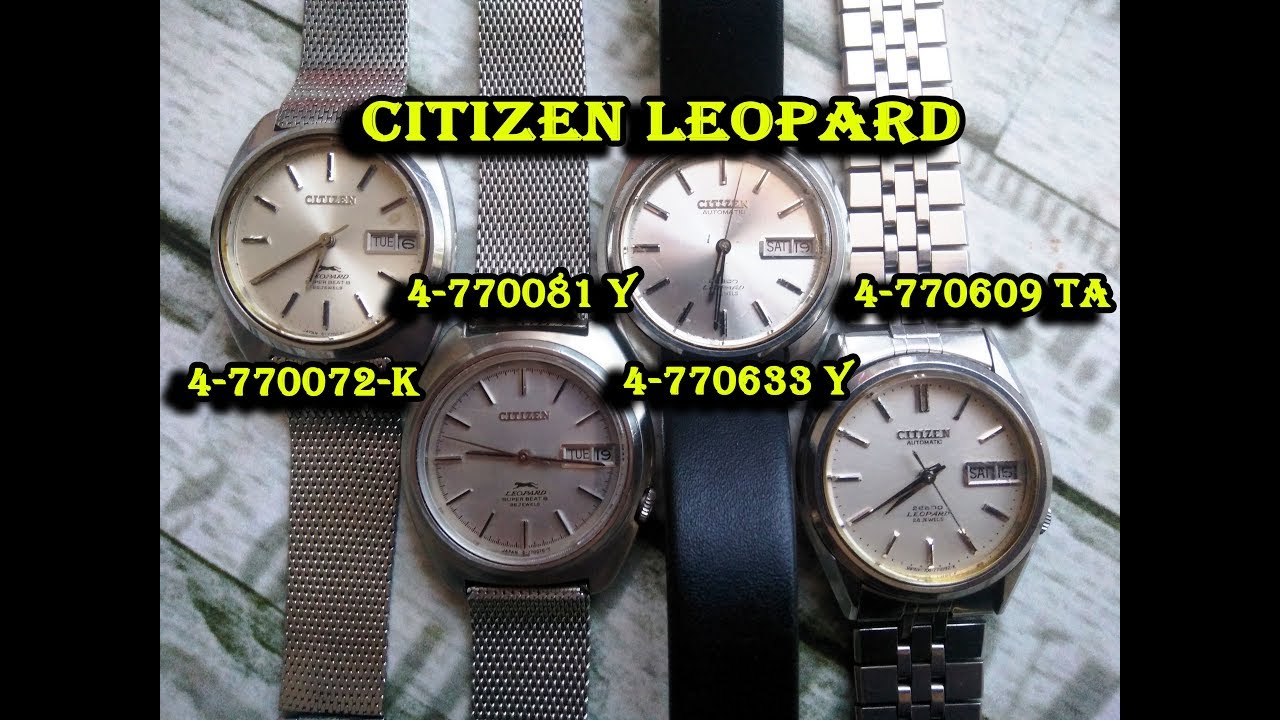 Citizen Leopard (4-770072-K, 4-770081 Y, 4-770609 TA, 4-770633 Y)