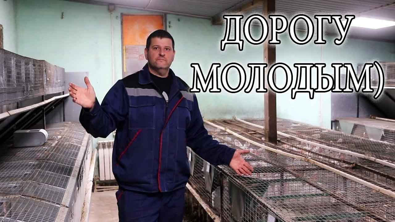 Теперь точно ВСЁ!