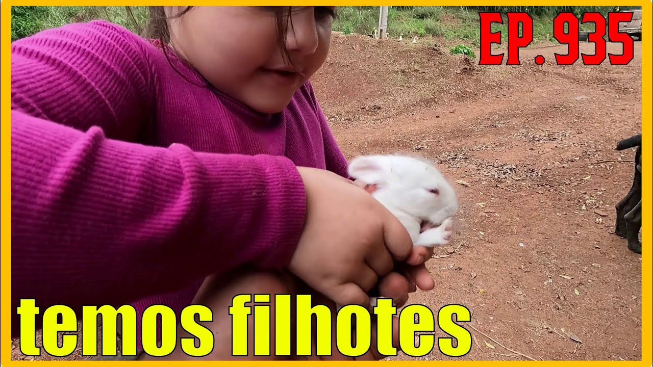 filhotes já estão peludos e abrindo os olhos