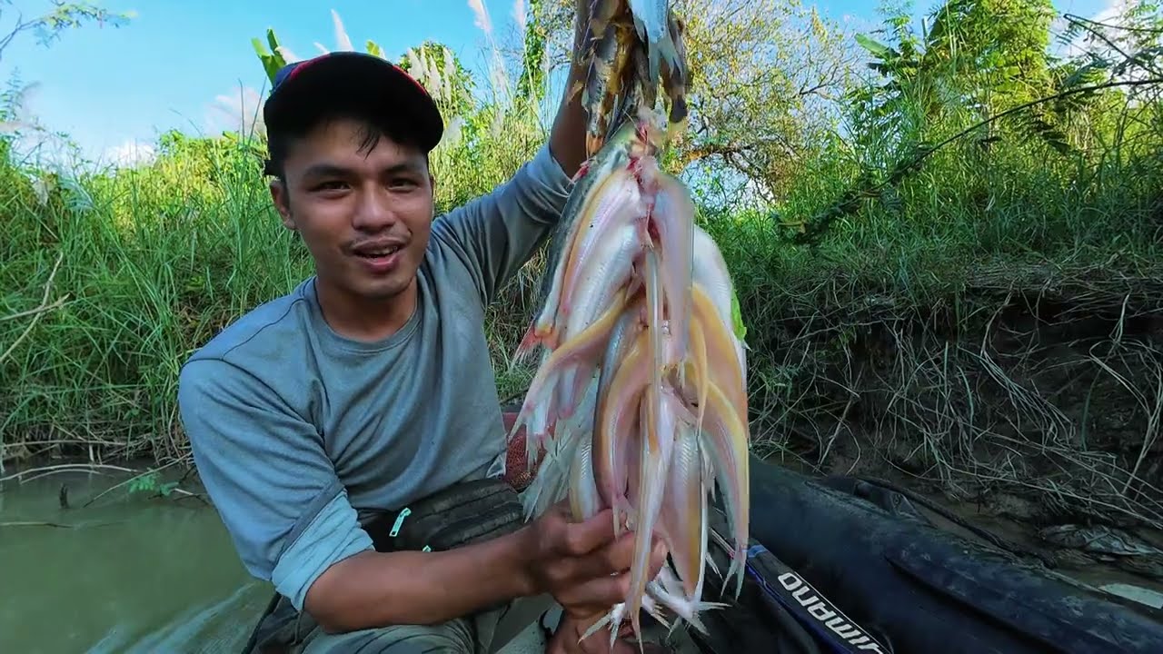 Câu được 1 chùm cá ngon trong rừng ❤️❤️❤️/ Tài Câu Cá