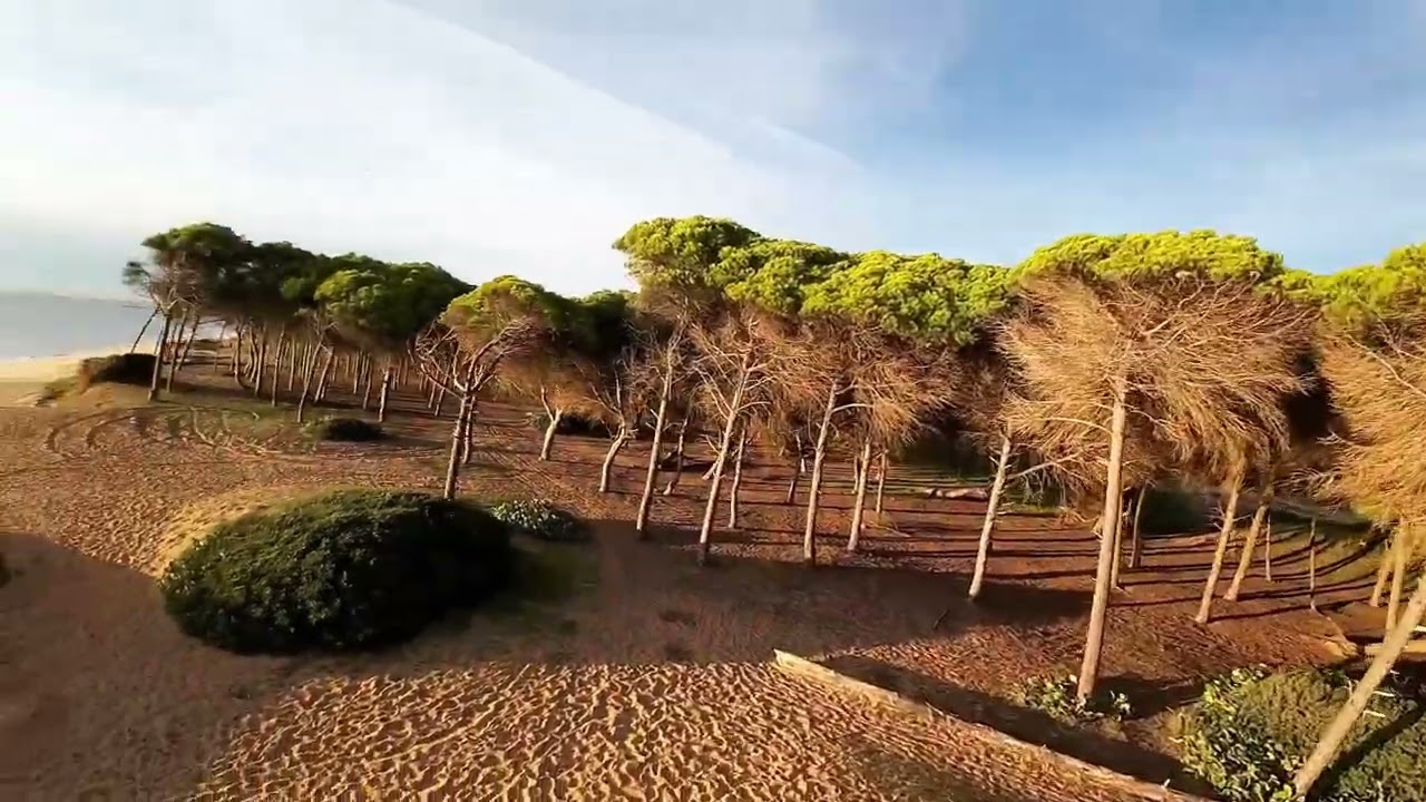 dji avata 1