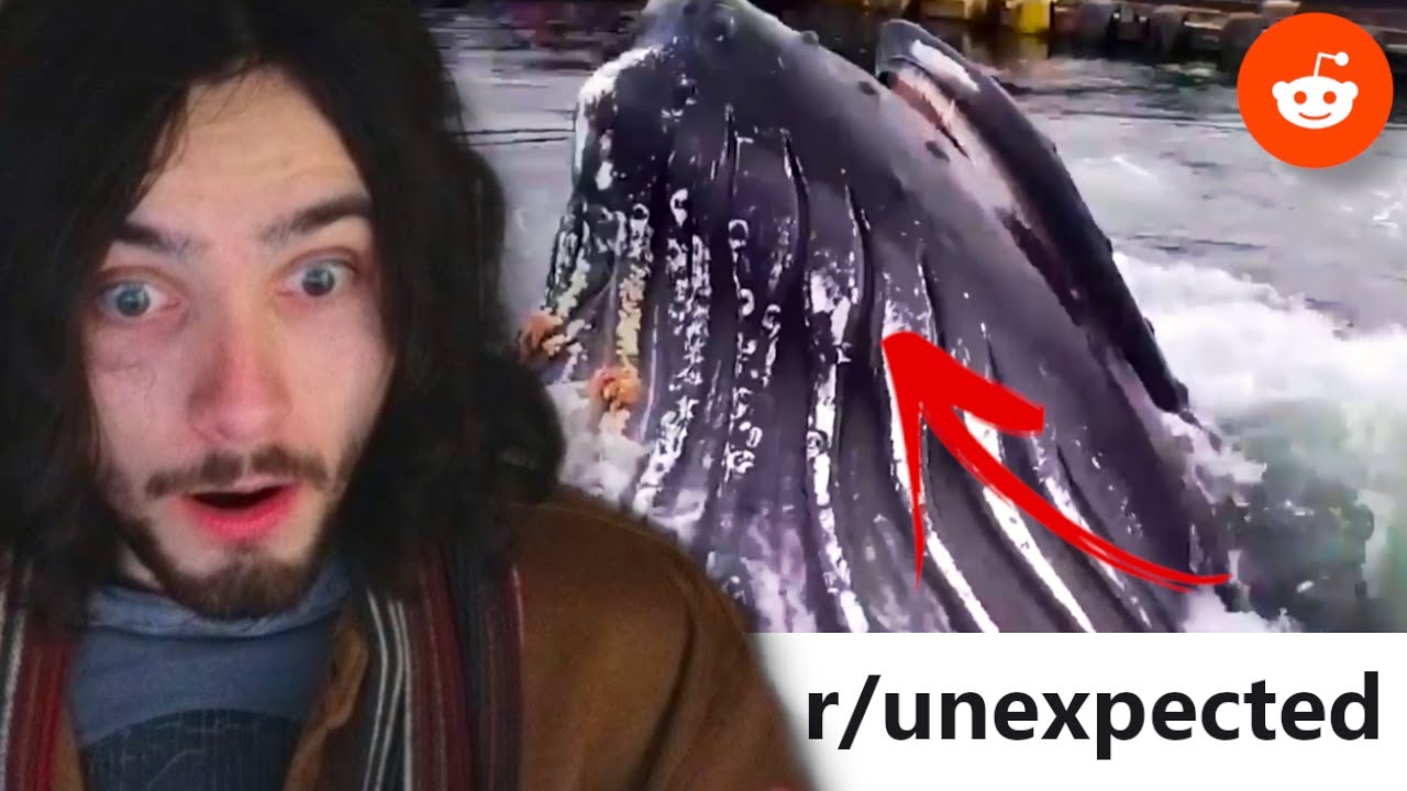 You will NEVER guess what happens next [r/unexpected]