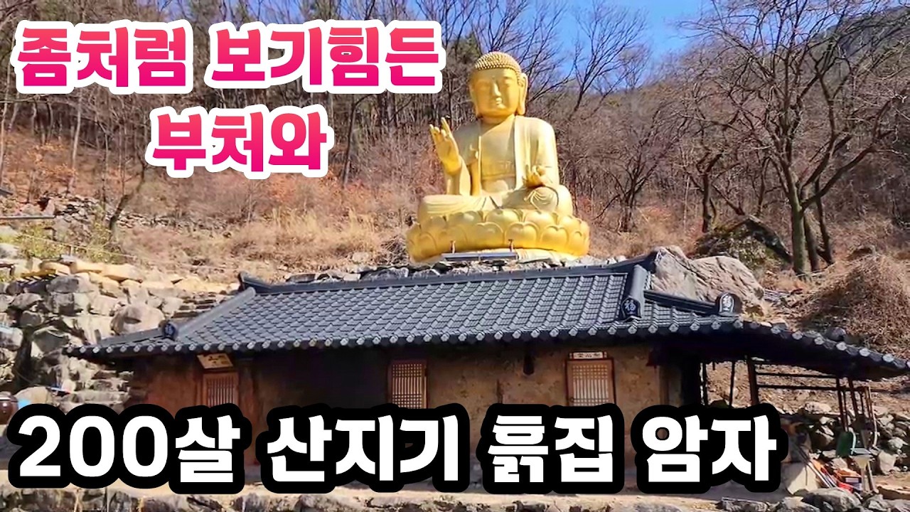 거대 부처님이 법당보다 더 큰 한국의 유일한 좌불상과 200년 산지기흙집