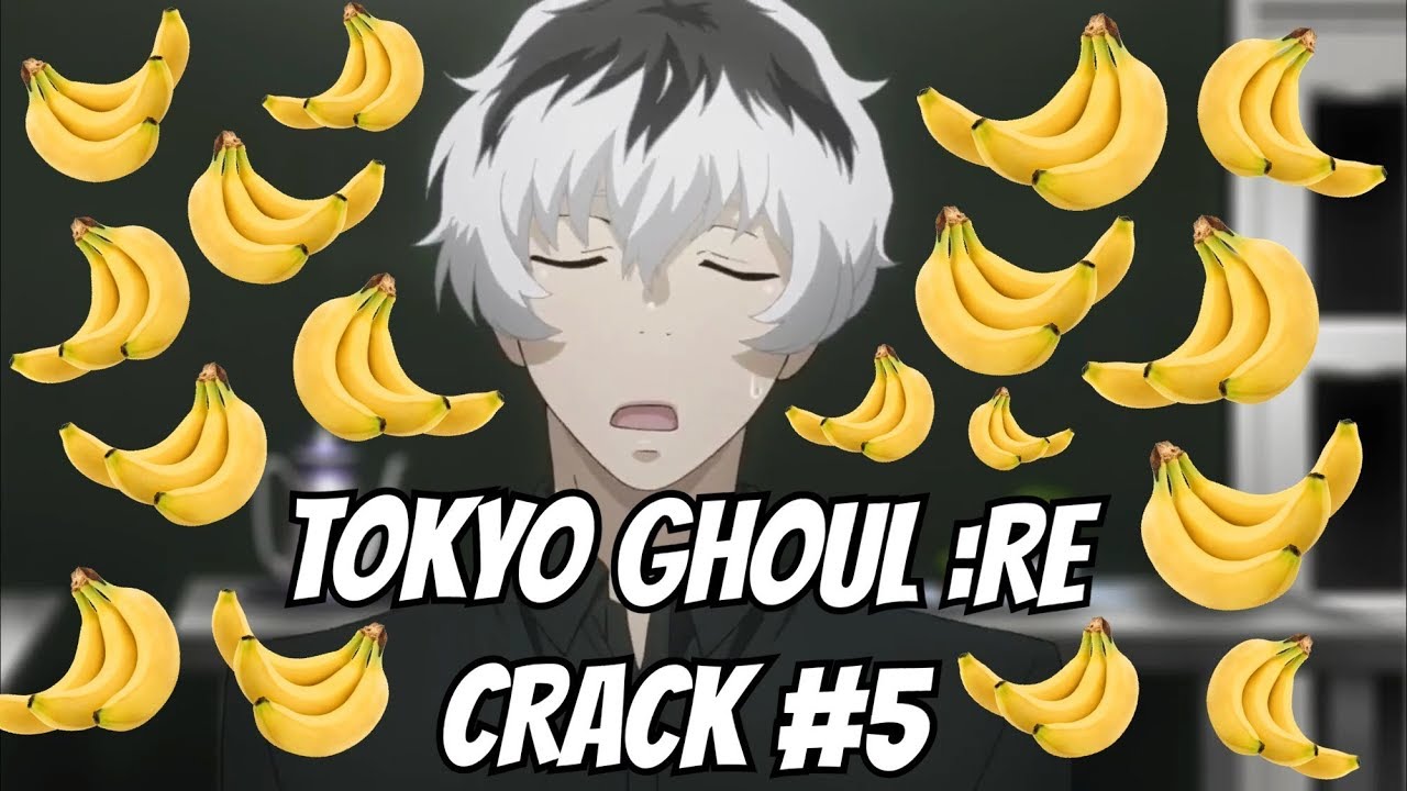 Tokyo Ghoul :re Crack #5