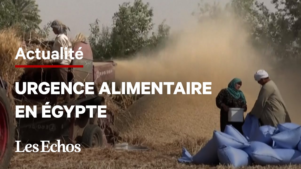 Pourquoi l’Égypte est menacée par une crise alimentaire sans précédent