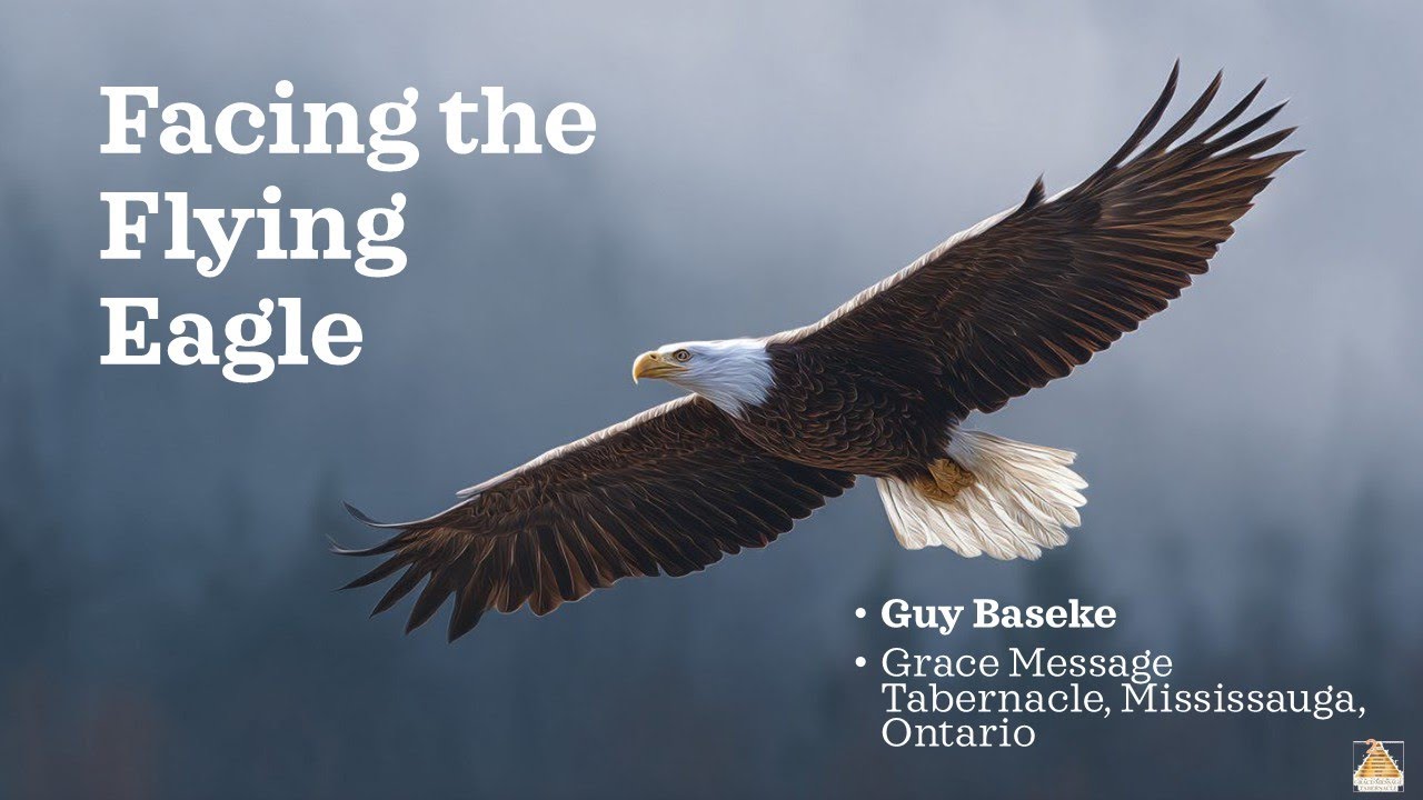 Facing The Flying Eagle