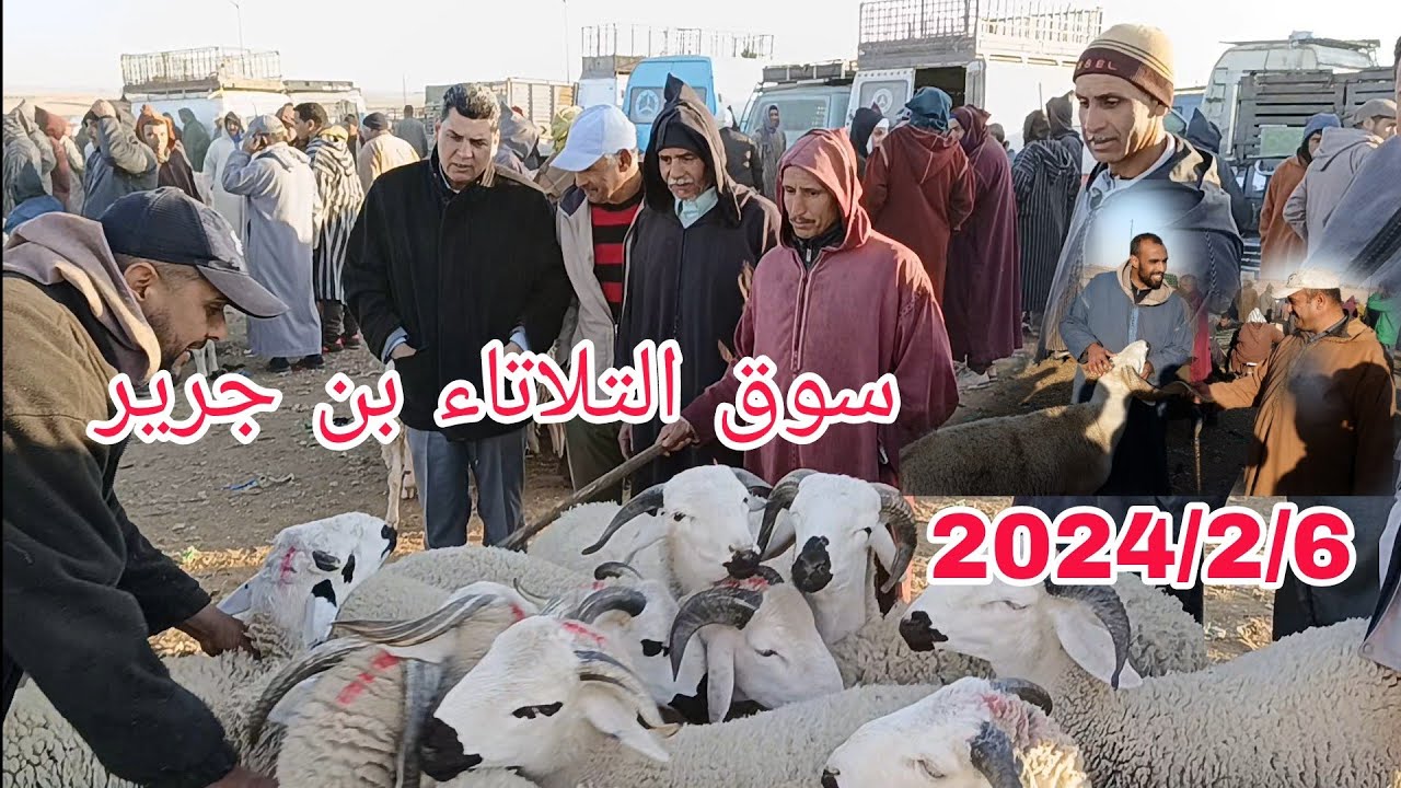 الله على سوق التلاتاء بن جرير باقليم الرحامنة بتاريخ 2024/2/6 مع أتمنة سوق والله يرحمنا برحمته 🐏