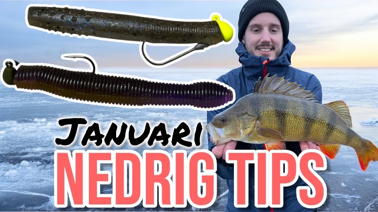 NED RIG TIPS - KALLT och HÖGT FISKETRYCK i Januari 