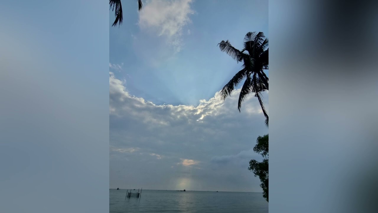 Mặc lấy người mới, là người đang được đổi mới trong nhận thức, theo hình ảnh Đấng tạo dựng người ấy