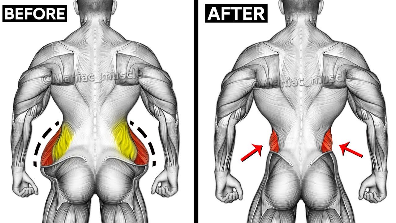 Don't Miss These 8 Perfect Oblique Exercises 🎯