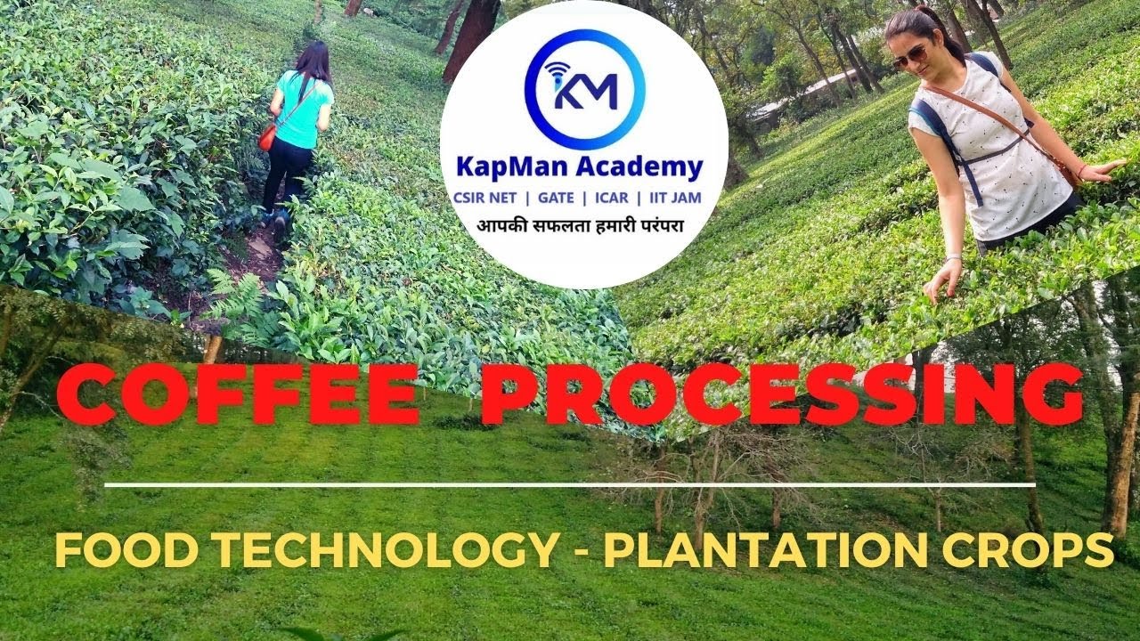 Plantation crop - Coffee processing | Live class | GATE-XL/XE-food technology