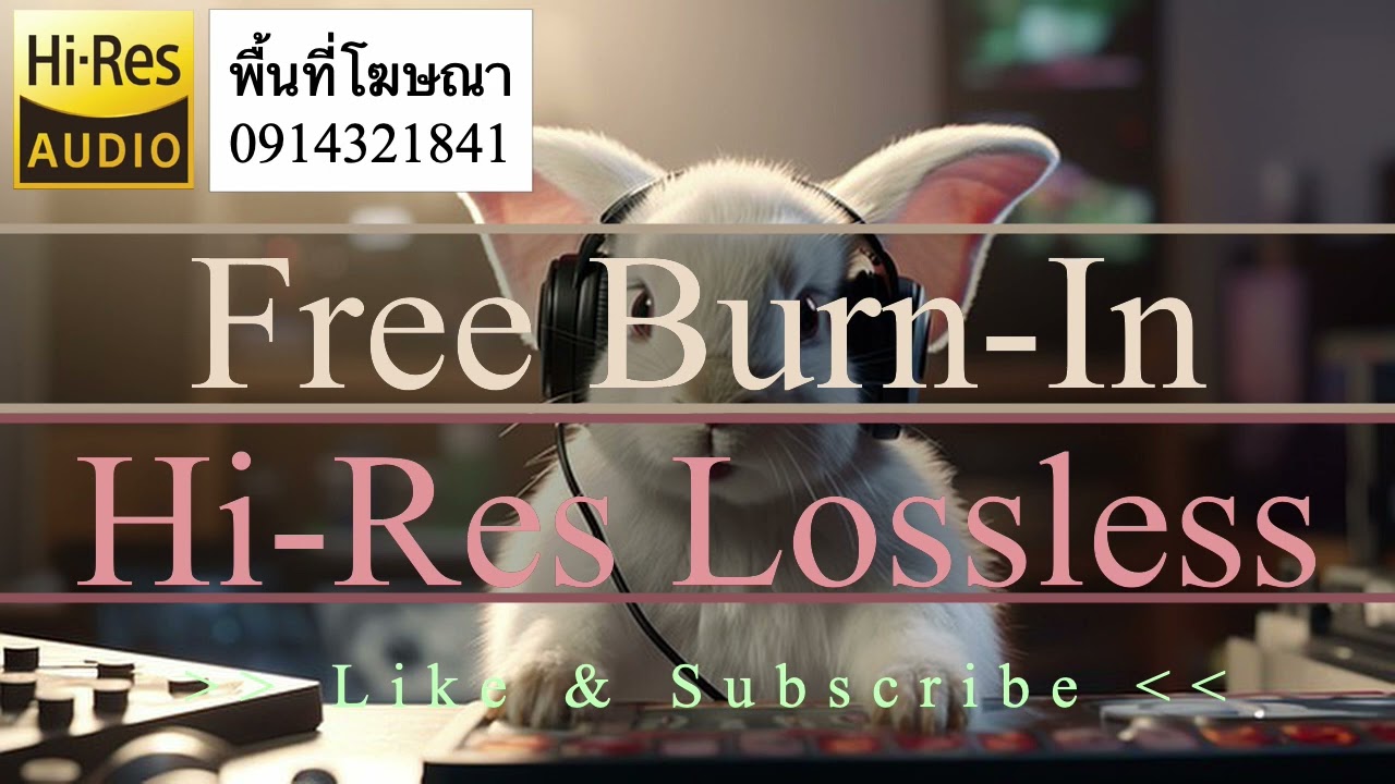 Burn In | เพลง เบิร์นหูฟัง,ลำโพง ได้ผล 100% (ครบทุกย่านความถี่เสียง) V.461