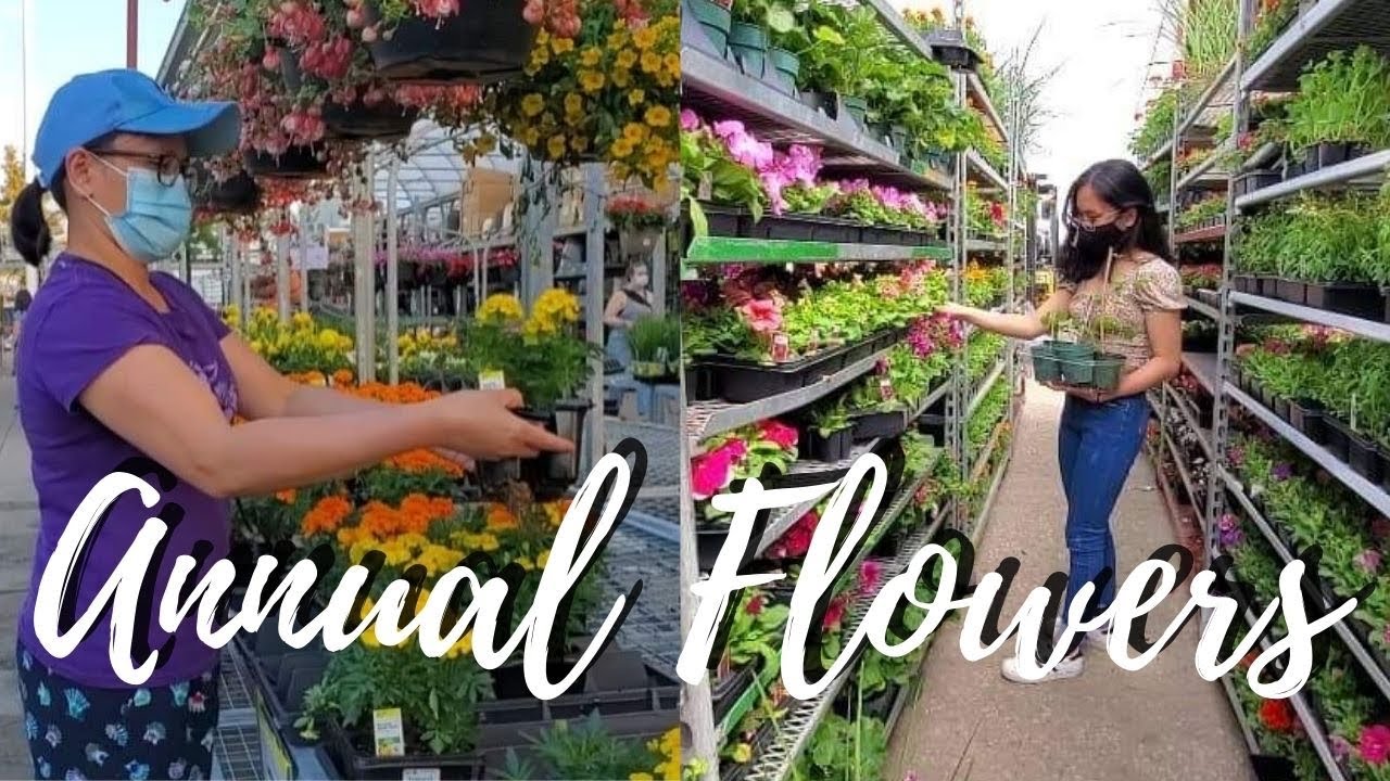 Annual Flowers for Spring Planting| Flower Shopping With Us| Life in Canada
