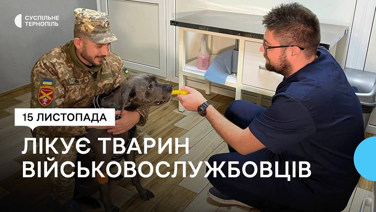 Ветеринар з Криму лікує тварин військовослужбовців