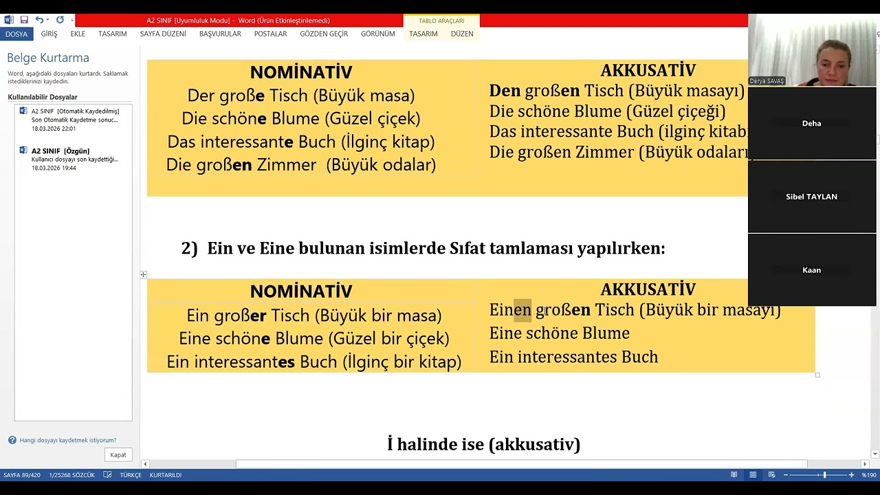 Almanca A2_18 Sıfatların Akkusativ Hali ve Konuyla İlgili Örnek Cümleler