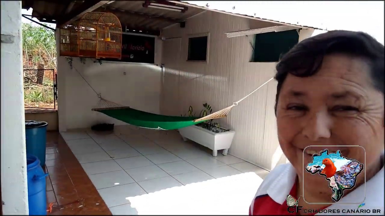 FUNGOS NO SISTEMA  RESPIRATORIO + USO NISTATINA