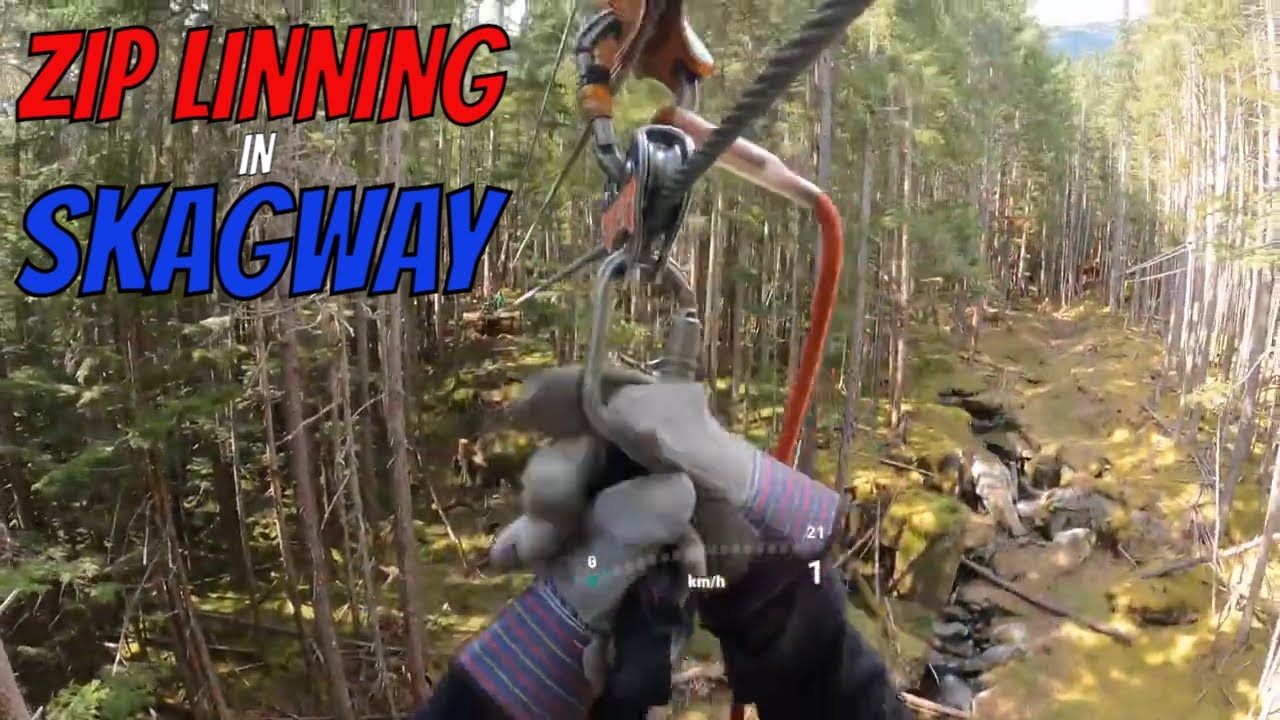 Short and quick zip line Skagway Alaska #zipline #gopro #views #alaska #tour #adventure #travel