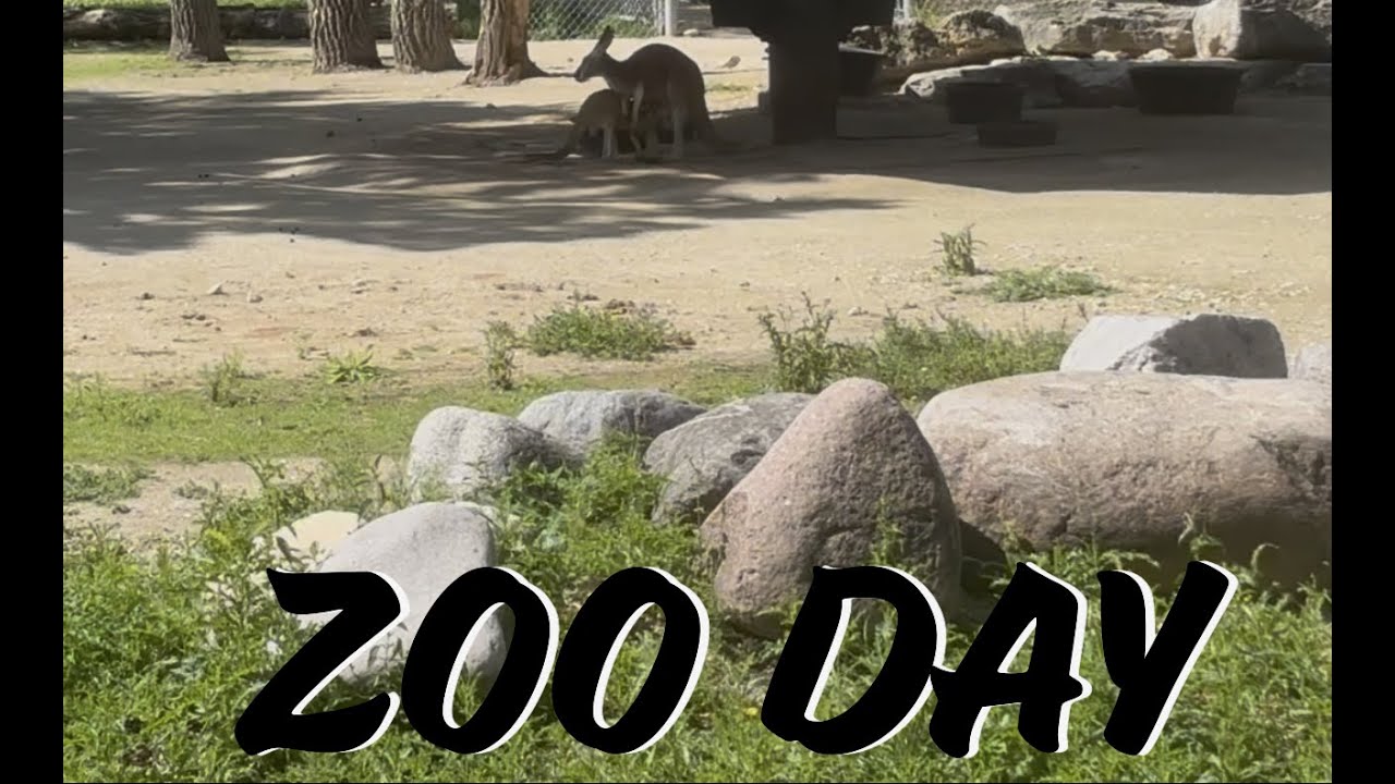 A Day at Winnipeg Zoo 🦁🦒