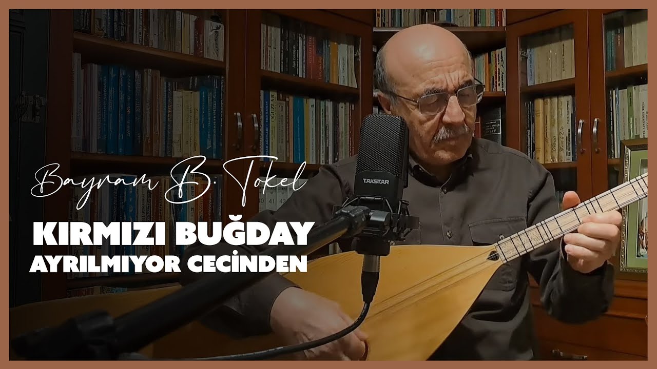 Bayram B. Tokel - Kırmızı Buğday Ayrılmıyor Cecinden [Canlı Performans]