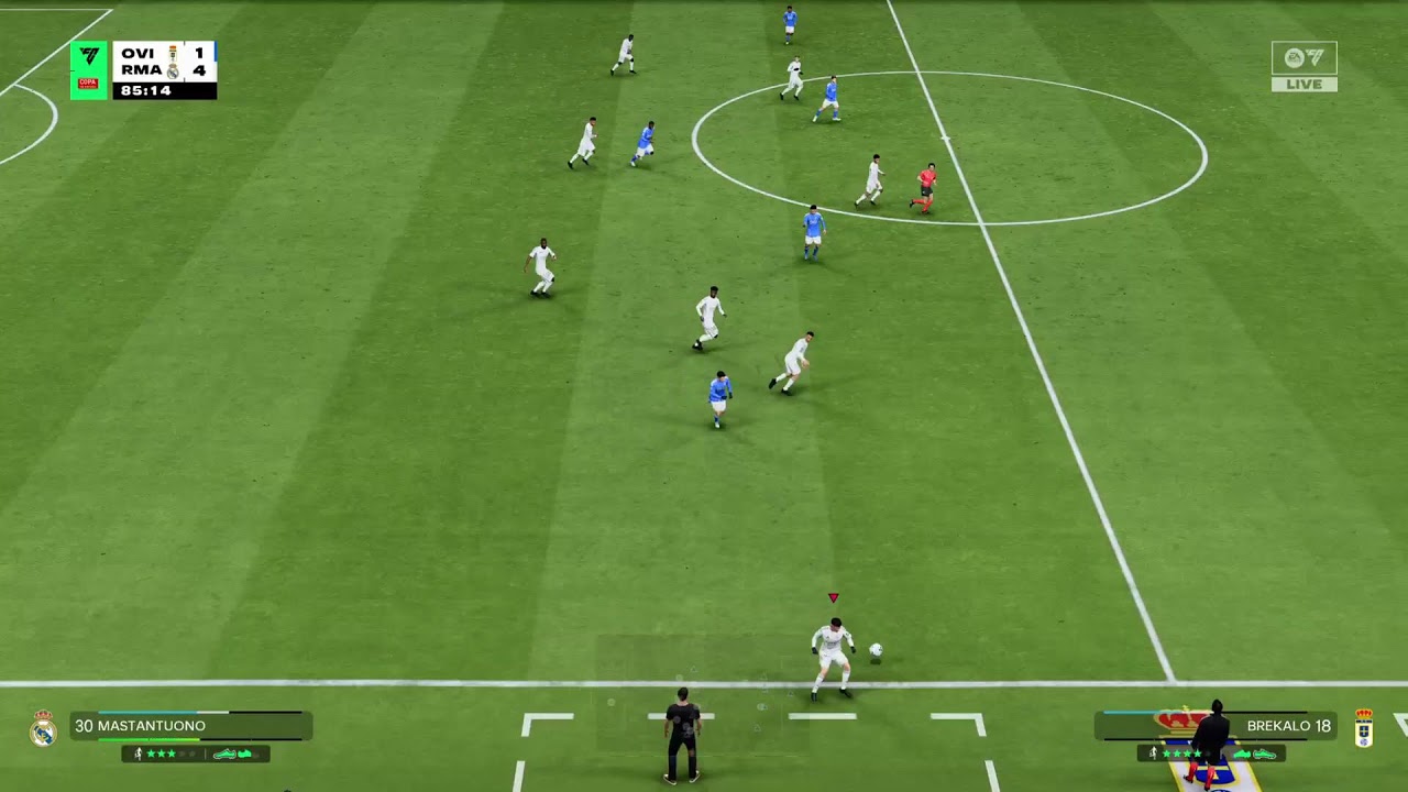 Coach Real Madrid/  FERDINAND