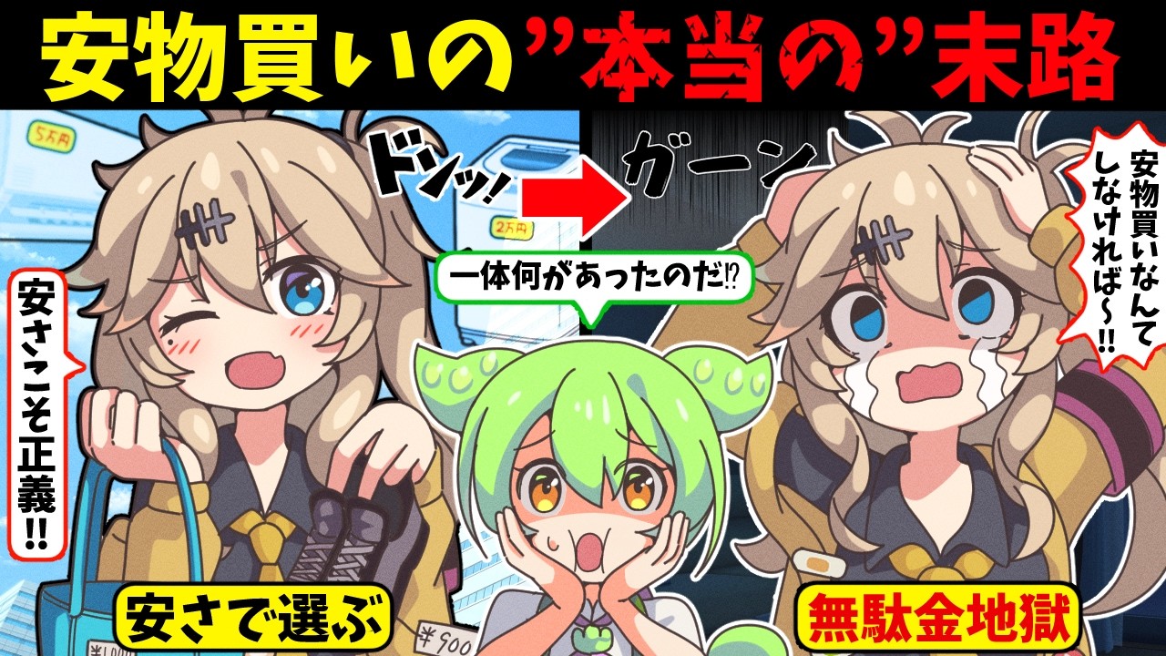 逆効果！安物買いを続けた者の末路【ずんだもんアニメ解説】