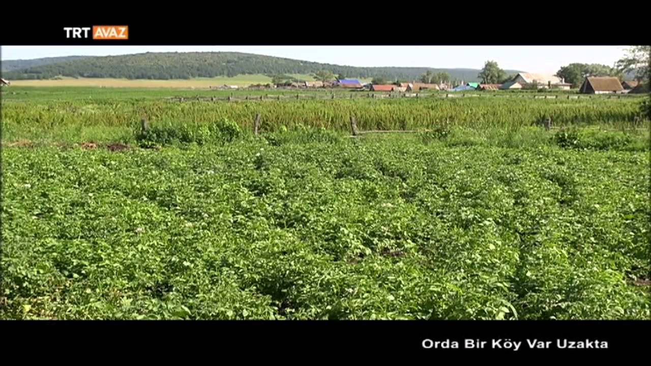 Orda Bir Köy Var Uzakta (Başkurdistan/Ufa) - TRT Avaz