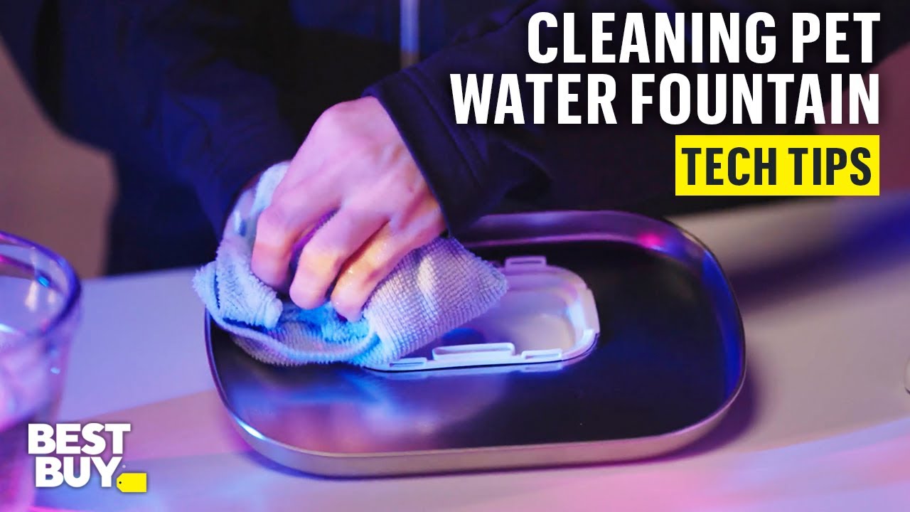Cleaning the PETLIBRO Dockstream App Monitoring Pet Water Fountain &ndash; Tech Tips from Best Buy
