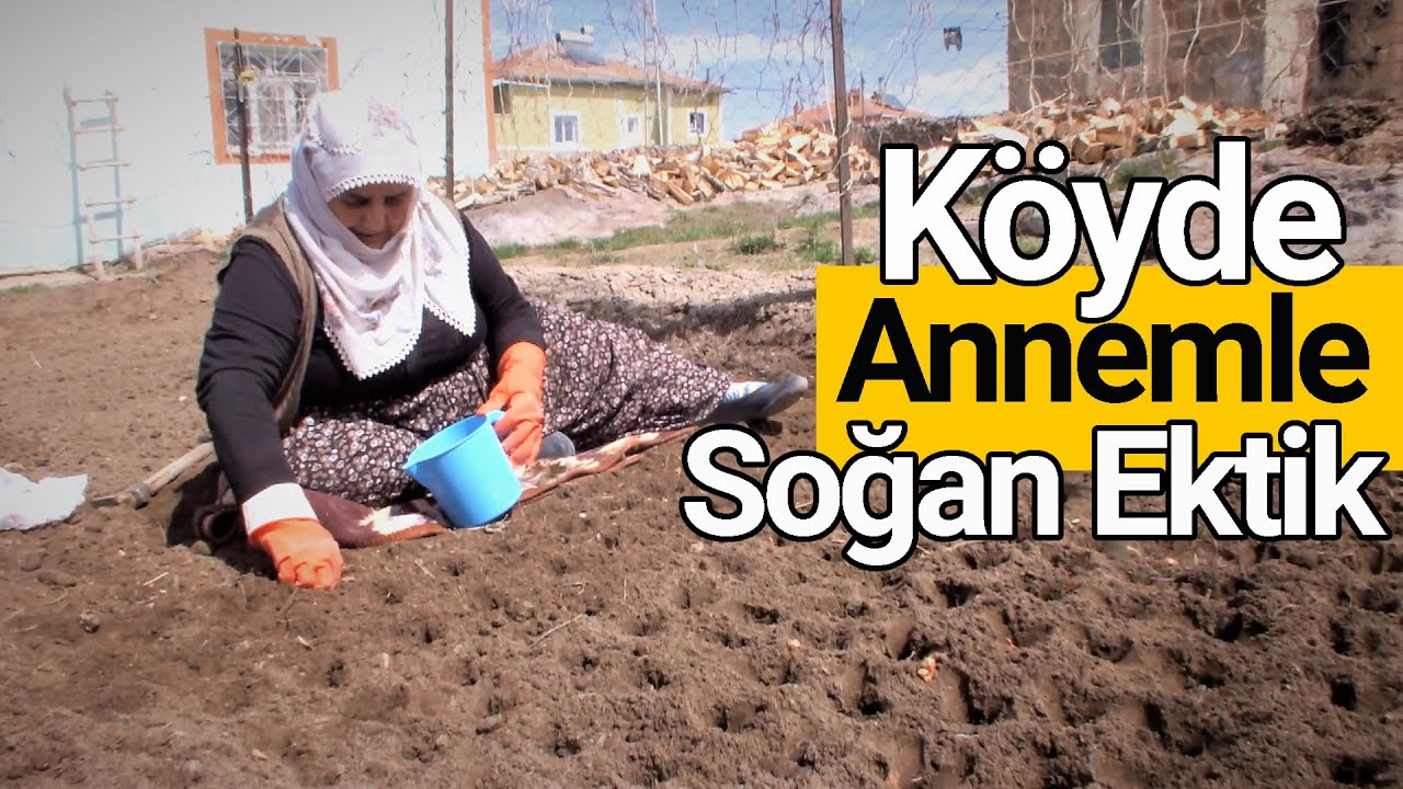 Köyde Annemle Soğan Ektik