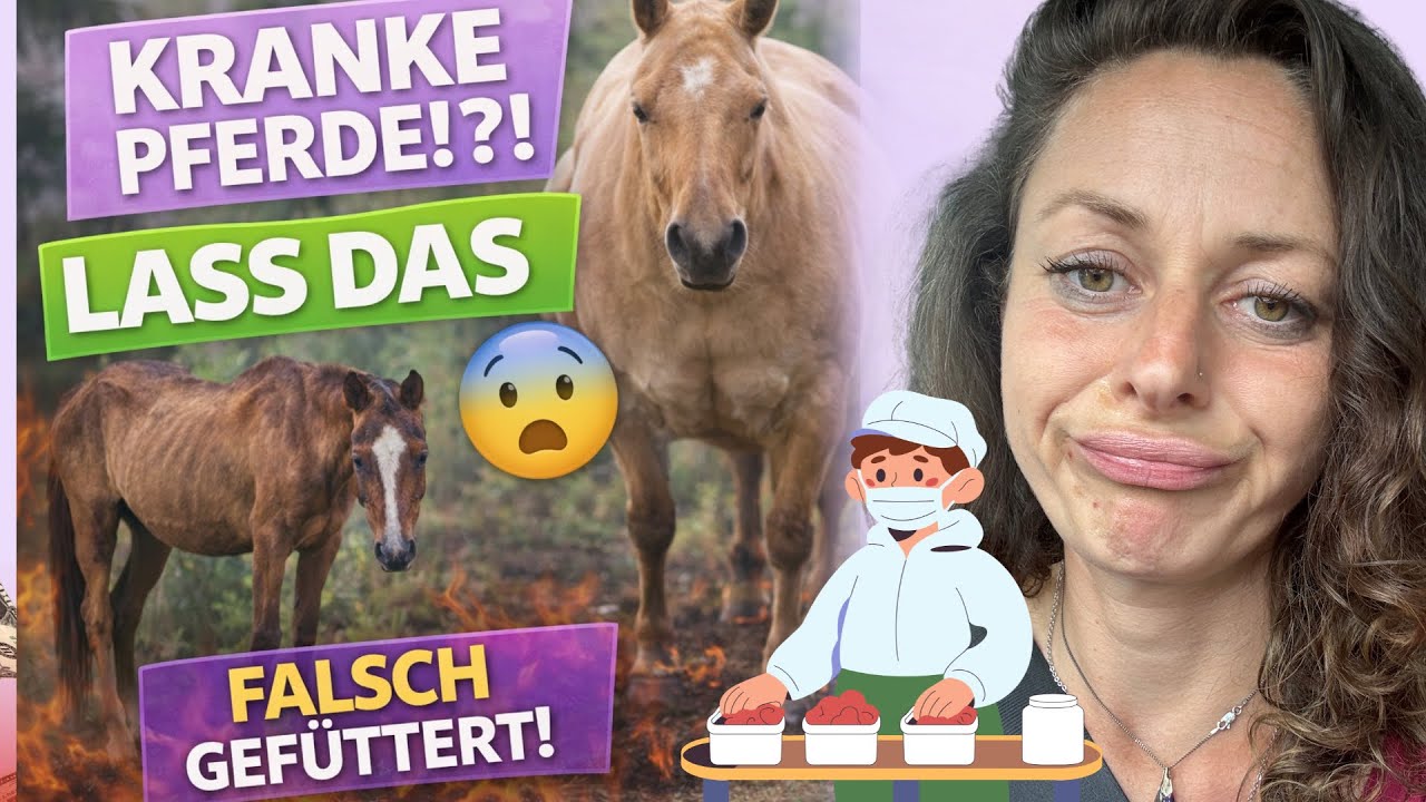 Niemand spricht dar&uuml;ber: Inhaltsstoffe Check im Oldie-Futter! Katastrophe 