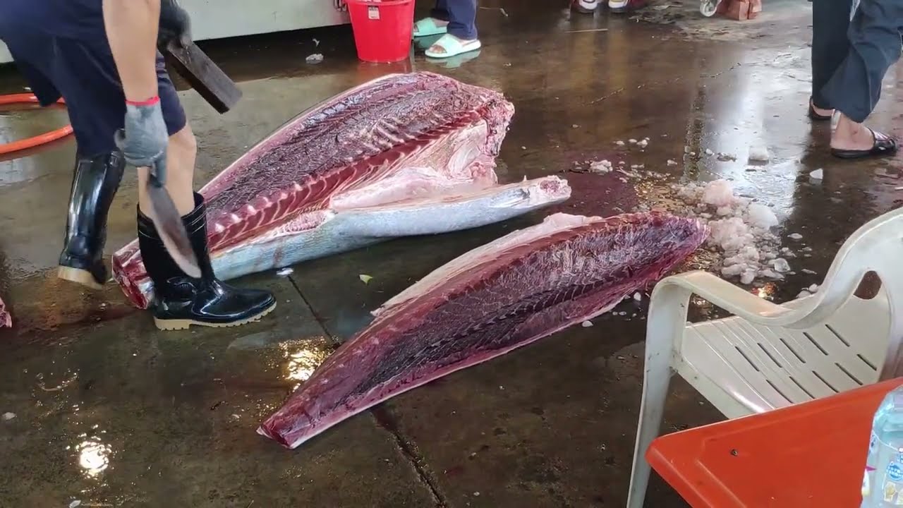 黑鮪魚切割技巧   Bluefin Tuna Cutting Techniques