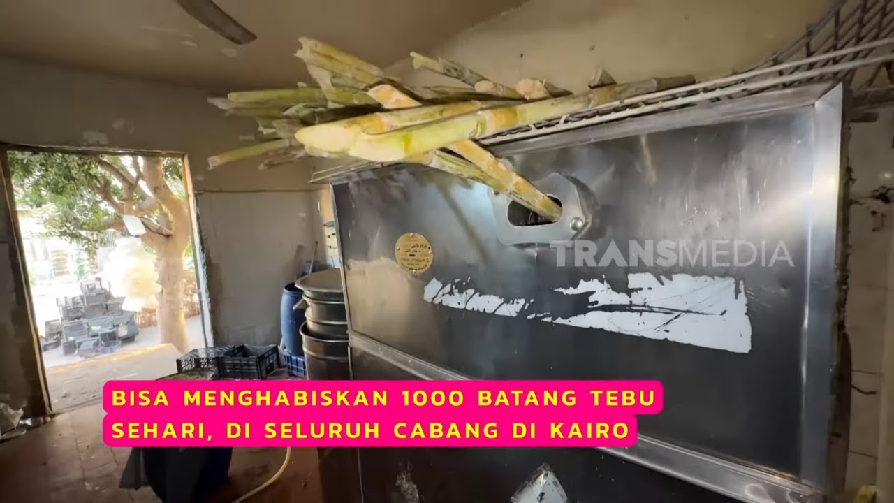 Jus Tebu Ala Mesir Cuannya Selalu Hadir | CUAN BOSS (18/10/25)
