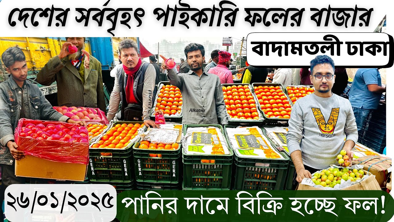 পাইকারি বাজারে ফলের দাম জানুন বাদামতলী ঢাকা । wholesale fruit market dhaka | update fruits price bd