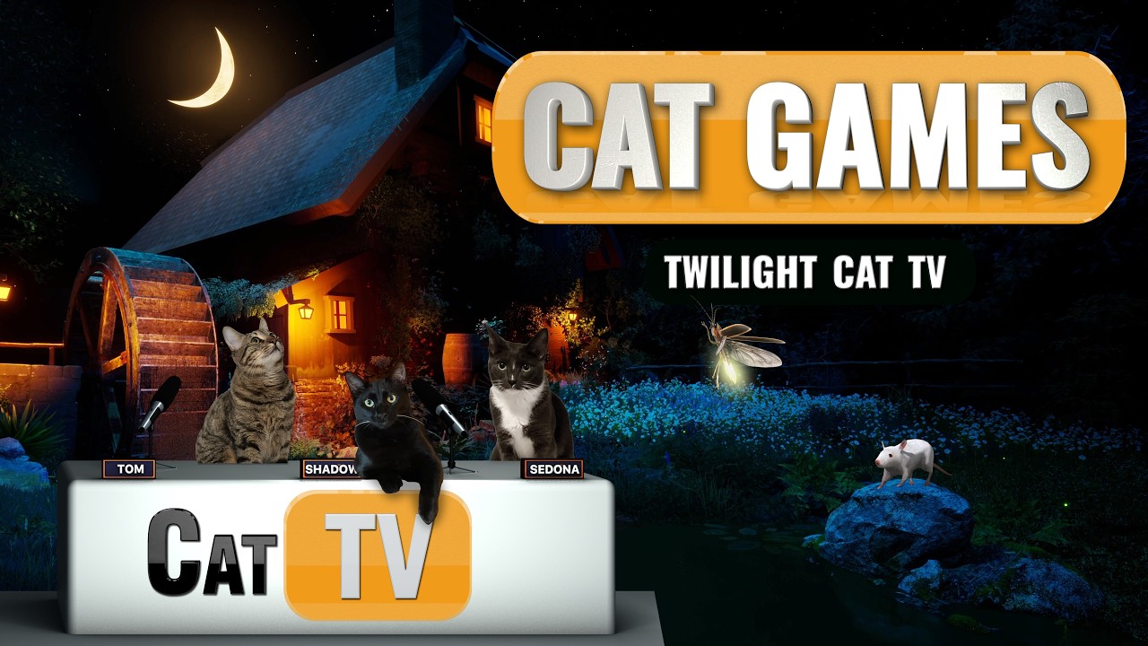 ИГРЫ ДЛЯ КОШЕК | ✨ Сумеречное Cat TV | Темный экран для сна и расслабления кошек 😴