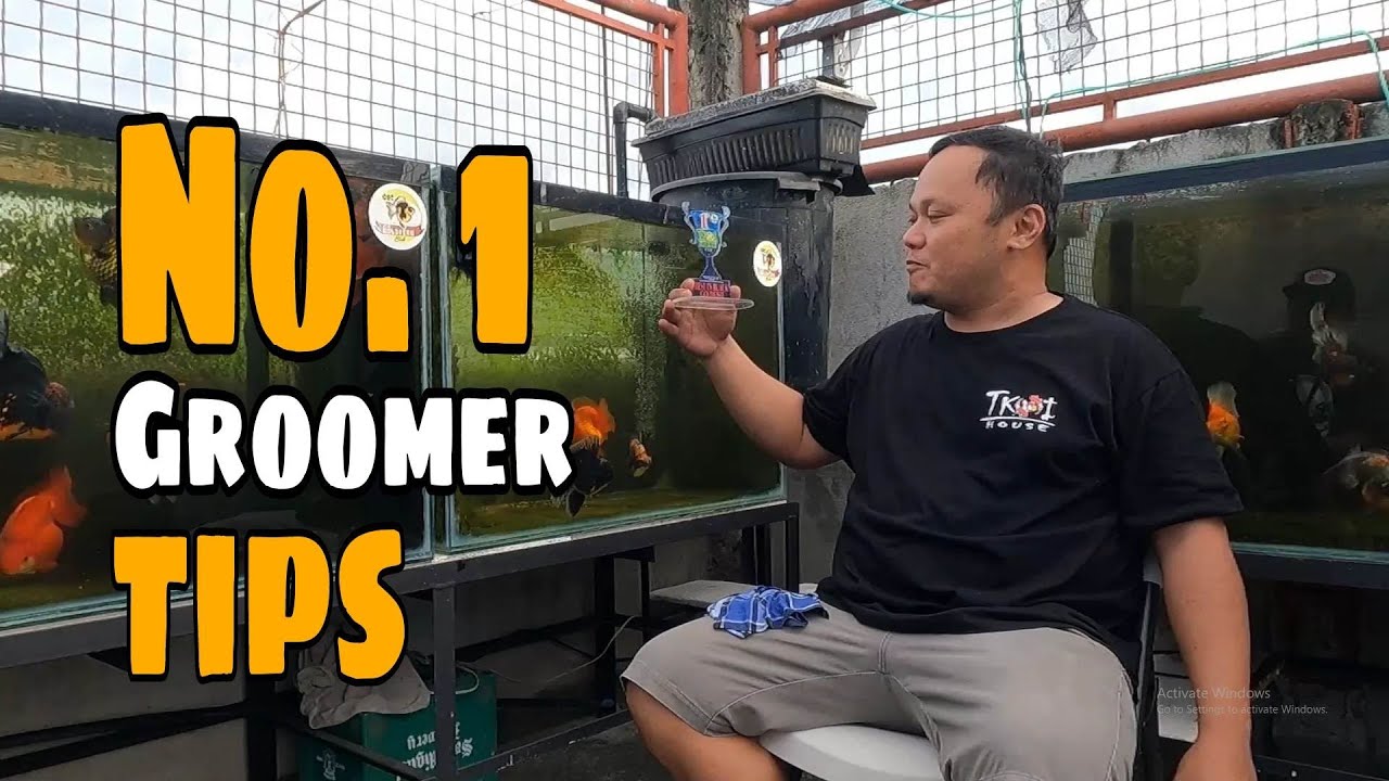 EP194. EXCLUSIVE INTERVIEW WITH THE NUMBER 1 GOLDFISH GROOMER IN THE PHILIPPINES