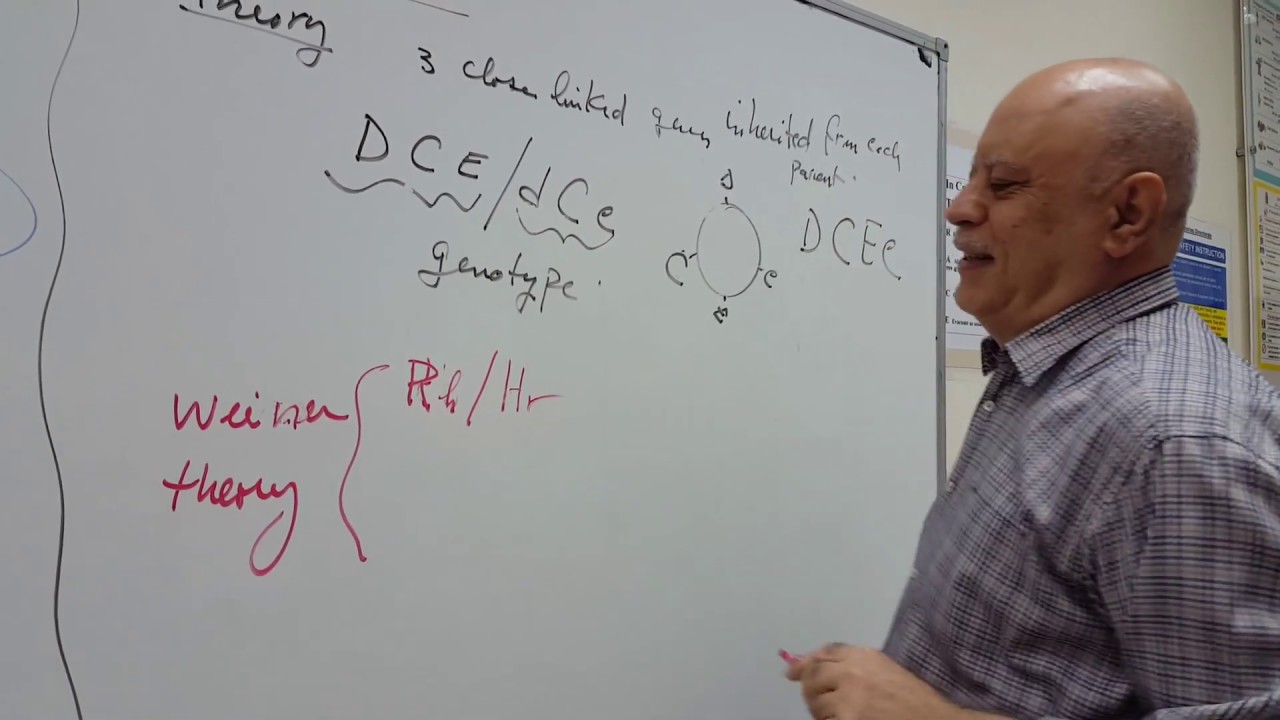Blood Bank Lab - Rh Phenotype - part 1 (Lab Theory)