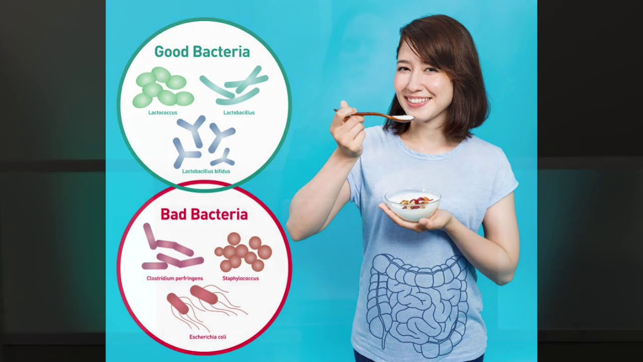 Gut Health- LISTEN TO YOUR GUT Dr. Terri DeNeui, DNP