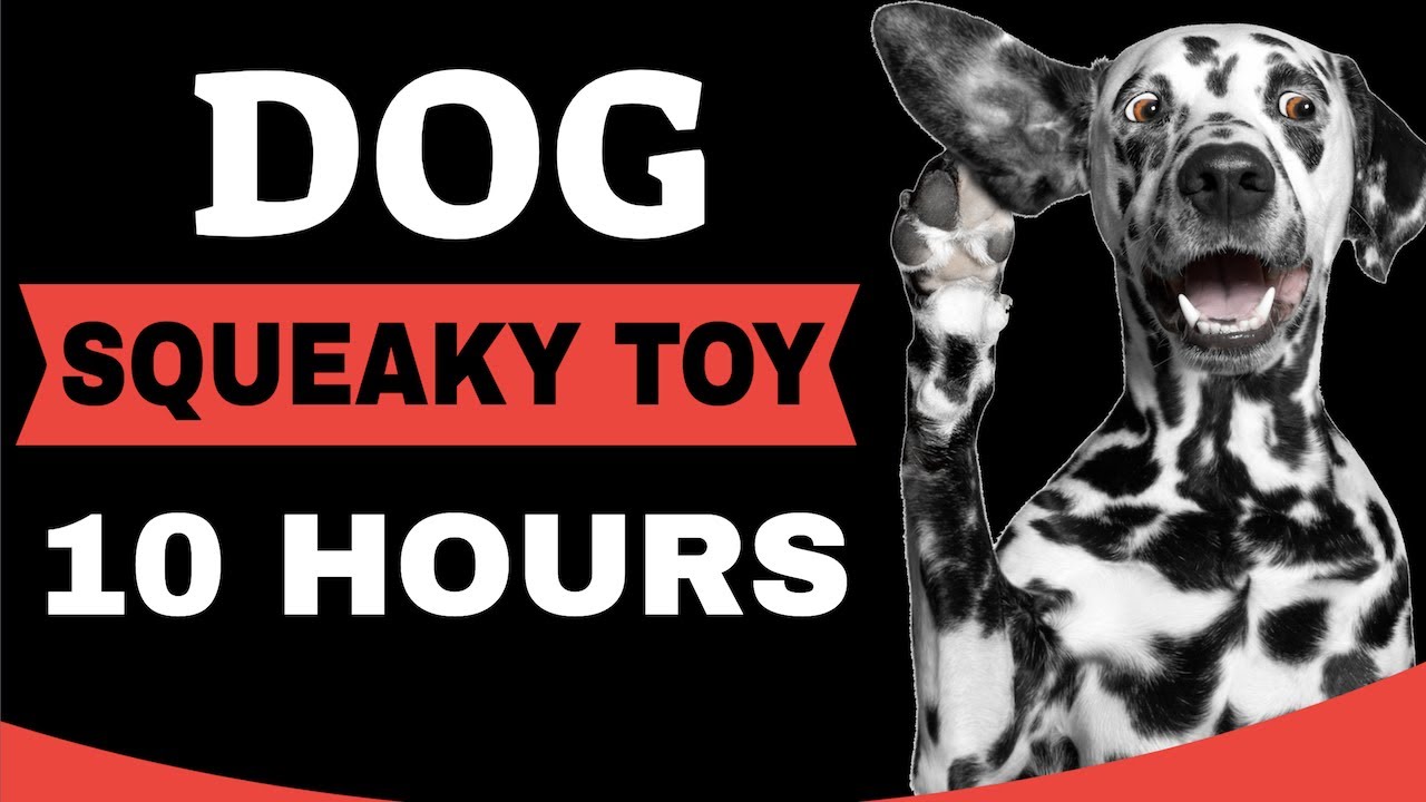 Squeaky Toy Dog Toy Sound Effect For Dogs | 10 Hour