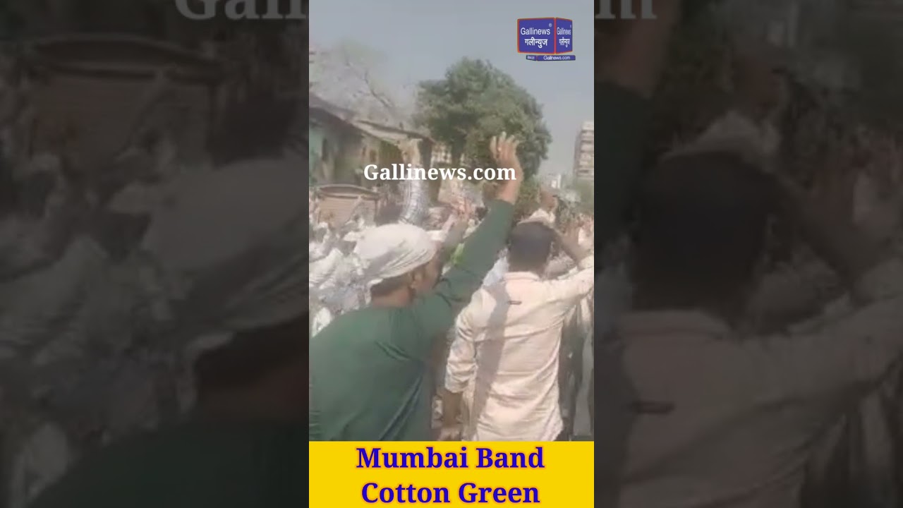 Mumbai Band Cotton Green