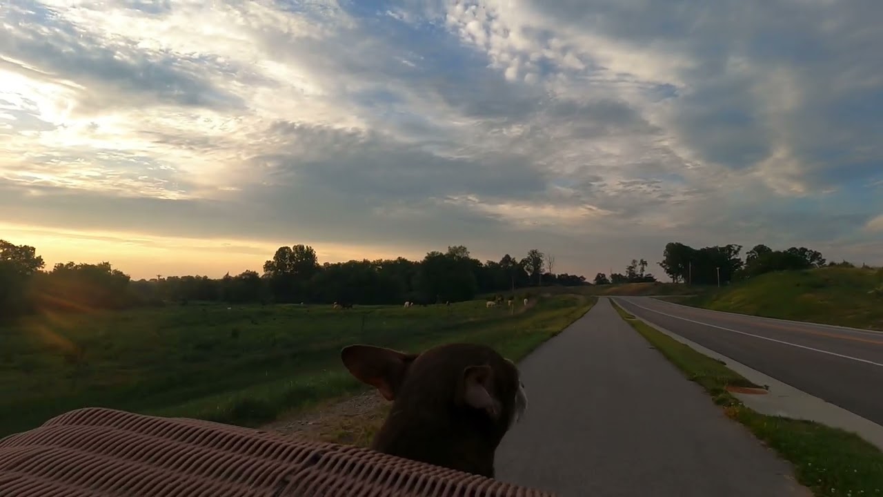 Berea Trails #8 - Exploring the Berea Bypass, Shortline & Stephenson Memorial Trails in Berea ky.