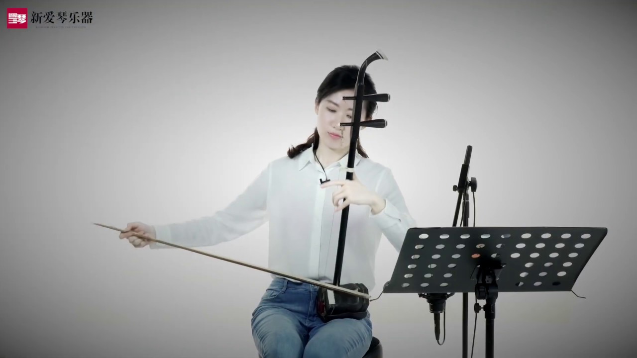 二胡曲 月夜 刘宇演奏 新爱琴乐器 Chinese musical instruments erhu Moon night