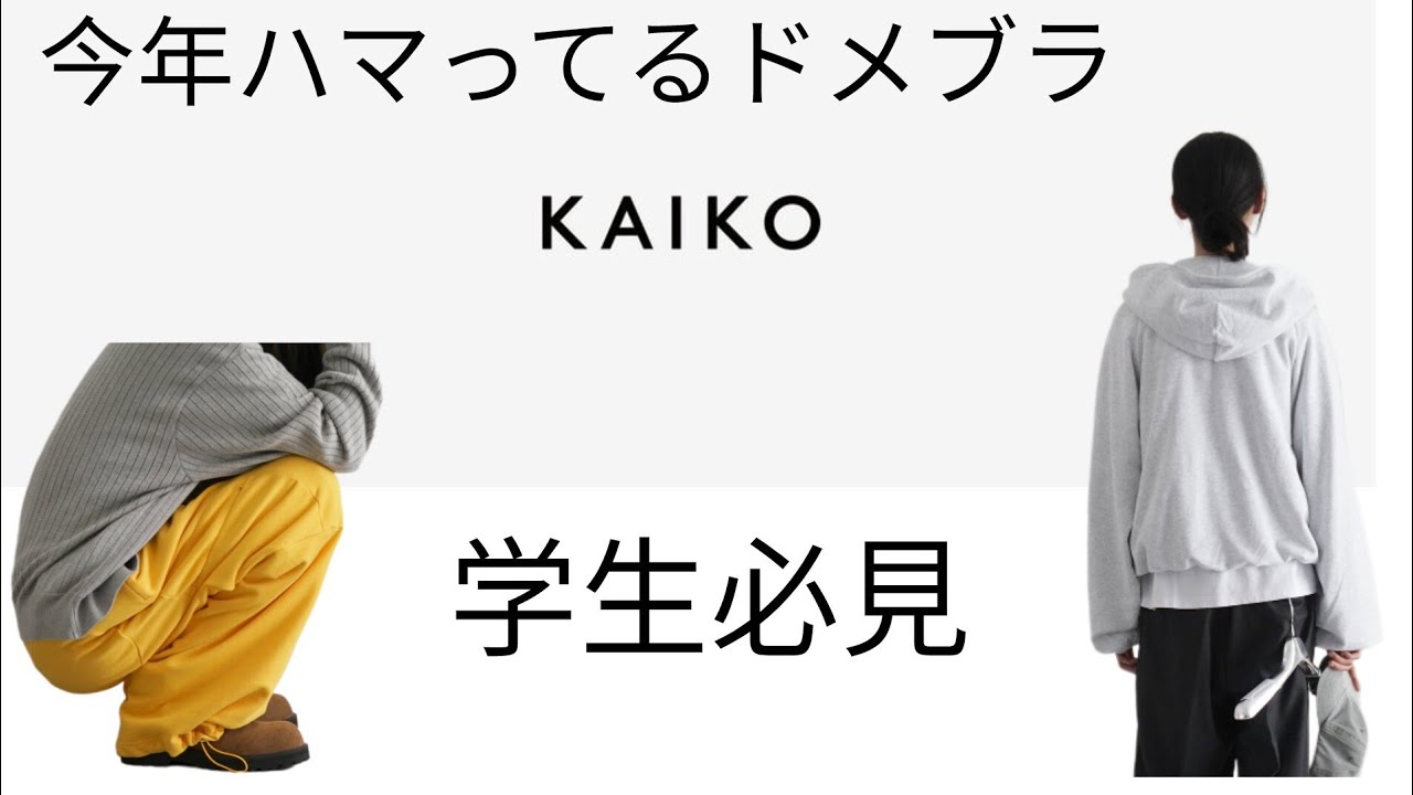 （ドメブラ）　金沢旅行のための購入品紹介　part 2
