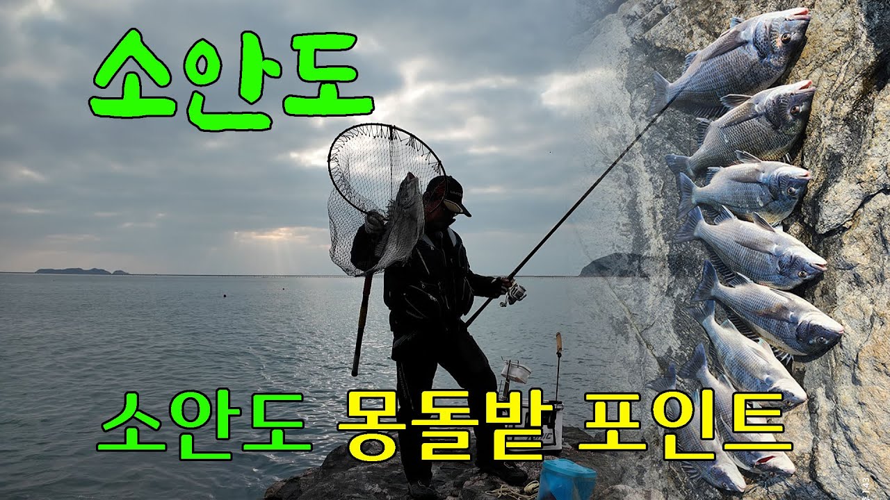 61 소안도 몽돌밭포인트
