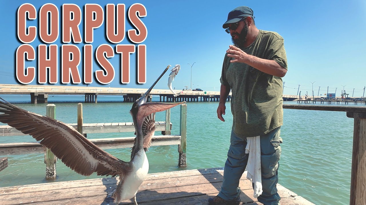 Corpus Christi Fishing Spots