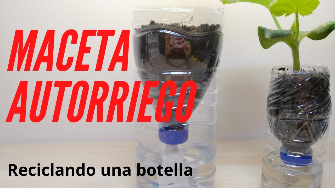 ♻️♻️ La MEJOR MACETA AUTORRIEGO reciclando una botella PET - F&aacute;cil de hacer en casa