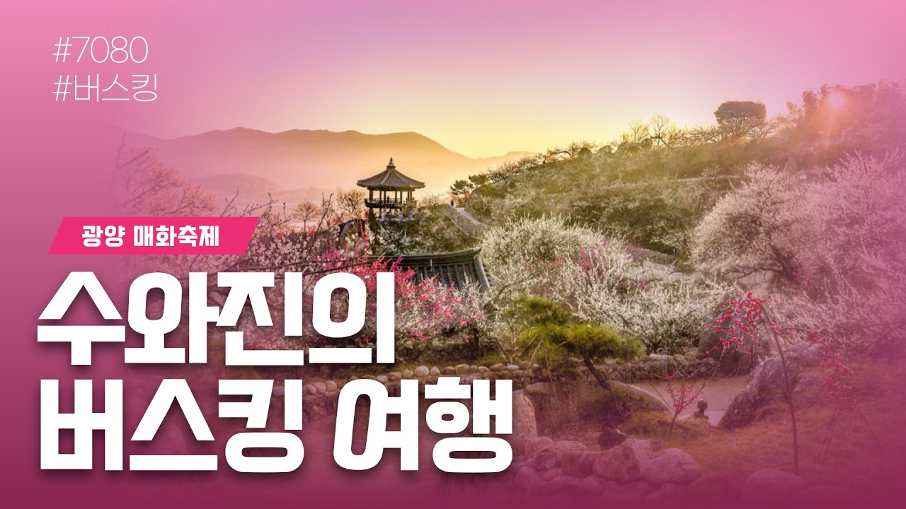 [수와진의 버스킹 여행] 광양 매화마을 매화축제 (2026.3. 8) ~ 봄이 찾아오는 광양 매화 마을에서 좋은 추억 만들어 가시기 바랍니다~~