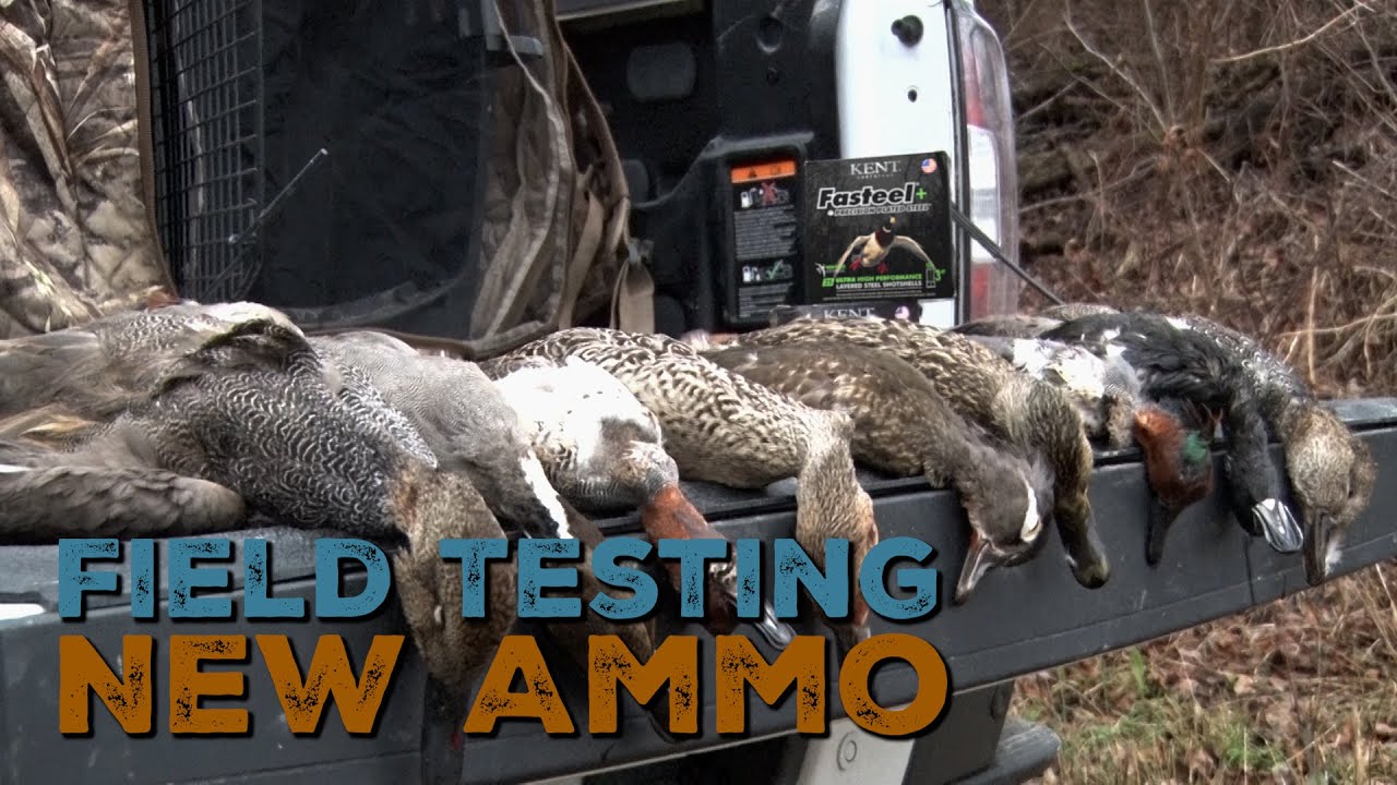 Duck Hunting with Kent Fasteel+
