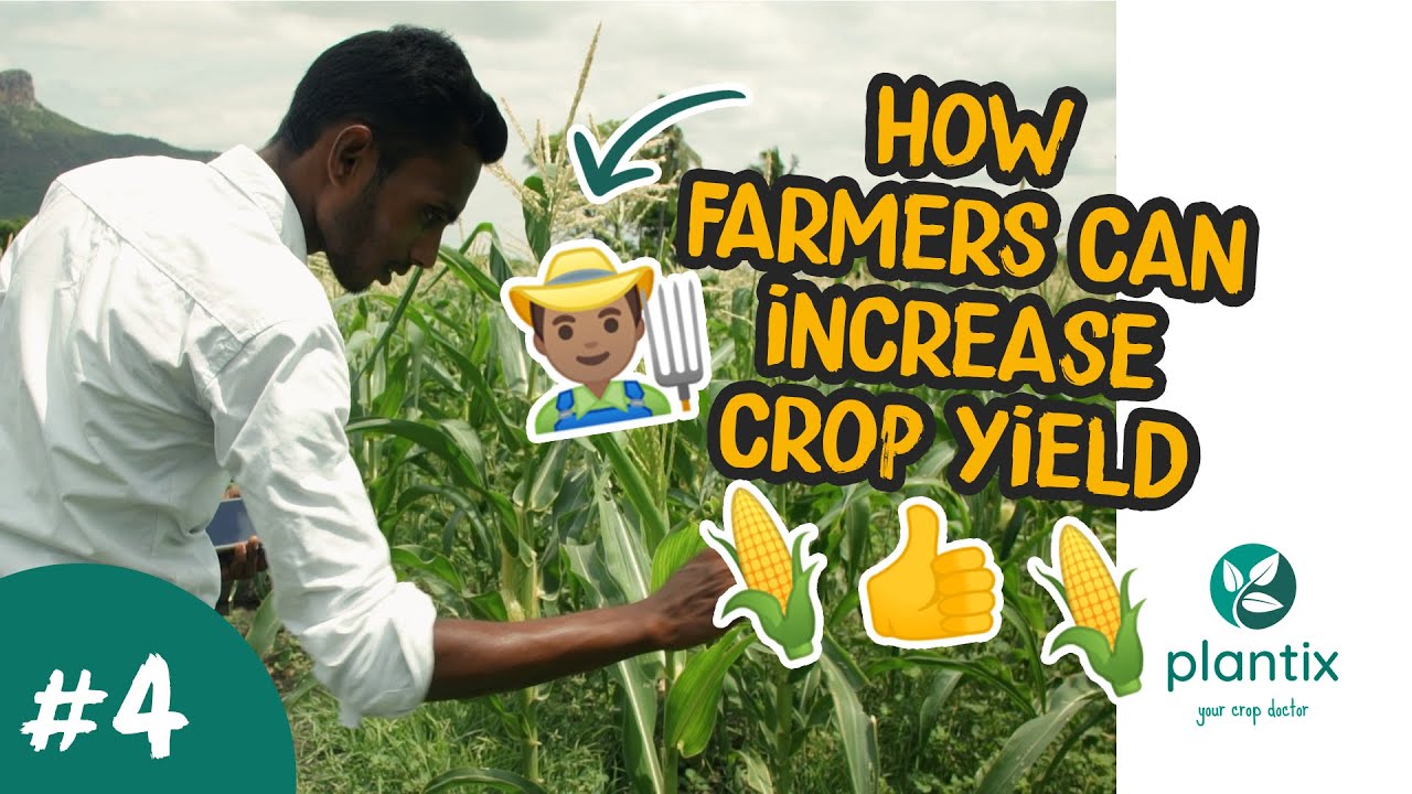 Plantix Farmer Stories | Episode 4 | E. Purusotham (Tamil + English Subtitles)
