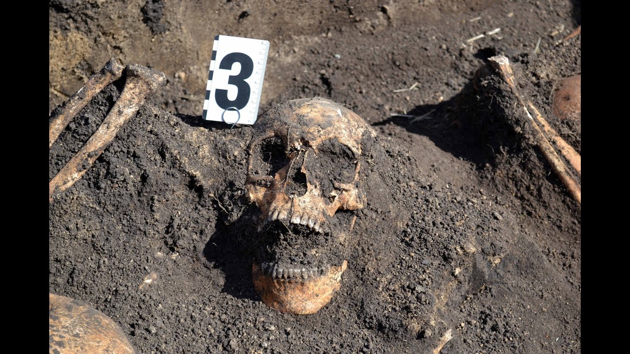 Фильм 40 Раскопки в полях Второй Мировой Войны/Film 40 Excavation in fields of World War II